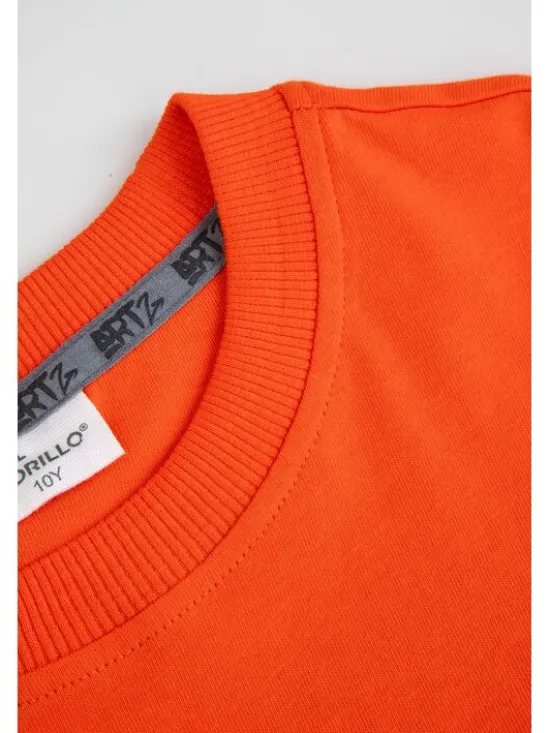 Coccodrillo T-Shirt ZC5143204SBJ-009 Czerwony Regular Fit