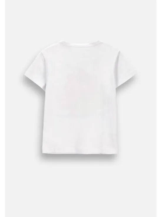 Coccodrillo T-Shirt ZC6143201SGK-001 Biały Regular Fit