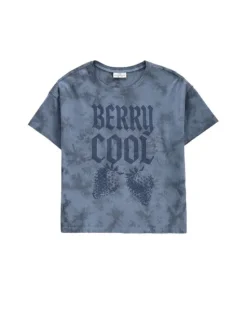 Coccodrillo T-Shirt ZC6143202TGJ-014 Niebieski Regular Fit