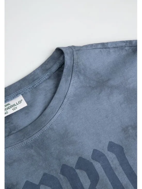 Coccodrillo T-Shirt ZC6143202TGJ-014 Niebieski Regular Fit