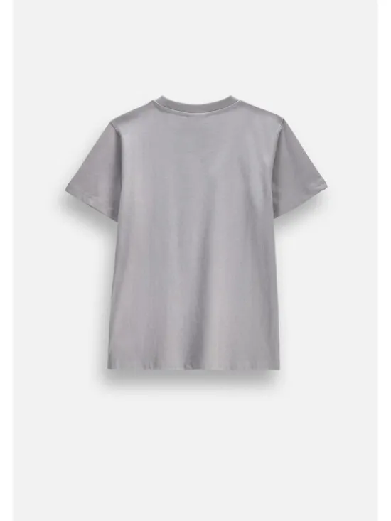 Coccodrillo T-Shirt ZC6143204VBA-019 Szary Regular Fit