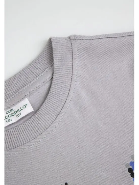 Coccodrillo T-Shirt ZC6143204VBA-019 Szary Regular Fit