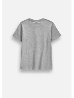 Coccodrillo T-Shirt ZC6143225VBB-019 Szary Regular Fit
