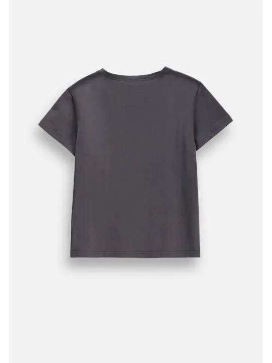 Coccodrillo T-Shirt ZC6143201VGA-020 Szary Regular Fit