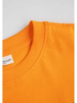Coccodrillo T-Shirt ZC6143201VUA-006 Pomarańczowy Regular Fit