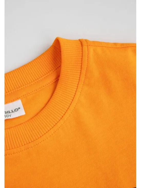 Coccodrillo T-Shirt ZC6143201VUA-006 Pomarańczowy Regular Fit