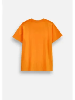Coccodrillo T-Shirt ZC6143201VUA-006 Pomarańczowy Regular Fit