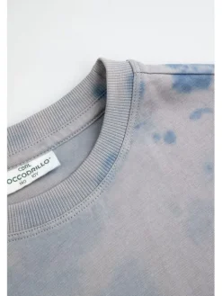 Coccodrillo T-Shirt ZC6143202WBJ-022 Kolorowy Regular Fit