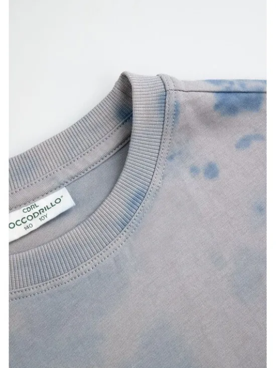 Coccodrillo T-Shirt ZC6143202WBJ-022 Kolorowy Regular Fit