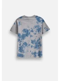 Coccodrillo T-Shirt ZC6143202WBJ-022 Kolorowy Regular Fit