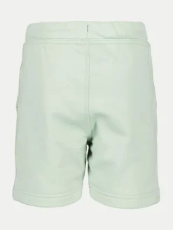 Didriksons Szorty sportowe Corin 505278 Zielony