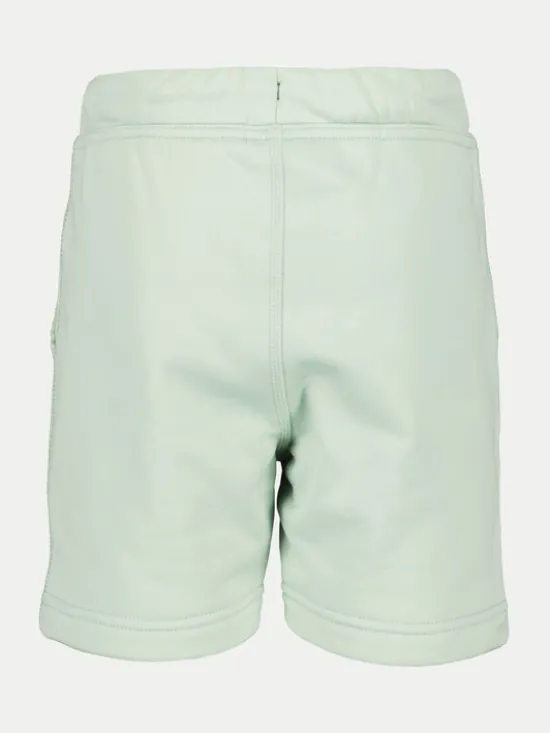 Didriksons Szorty sportowe Corin 505278 Zielony