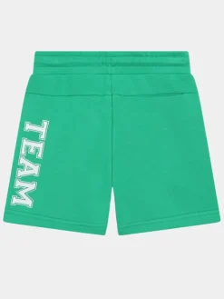 Karl Lagerfeld Kids Szorty sportowe Z30025 D Zielony Regular Fit