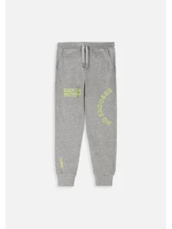 Lemon Explore Spodnie dresowe WL4120107CWB-019 Szary Regular Fit