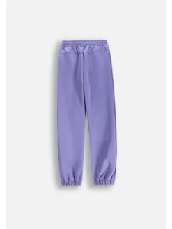 Lemon Explore Spodnie dresowe WL5120101ACG-016 Fioletowy Regular Fit