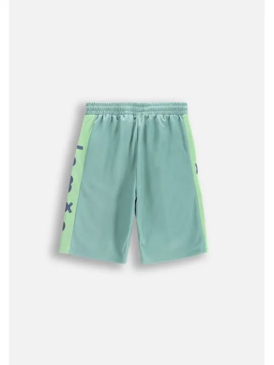 Lemon Explore Szorty WL5120502ACB-012 Zielony Regular Fit