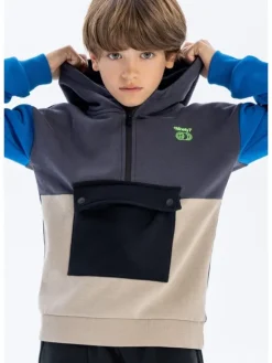 minoti Bluza 19fleece65 Szary Regular Fit