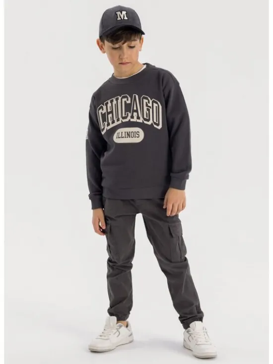 minoti Spodnie cargo 23pant4 Szary Regular Fit