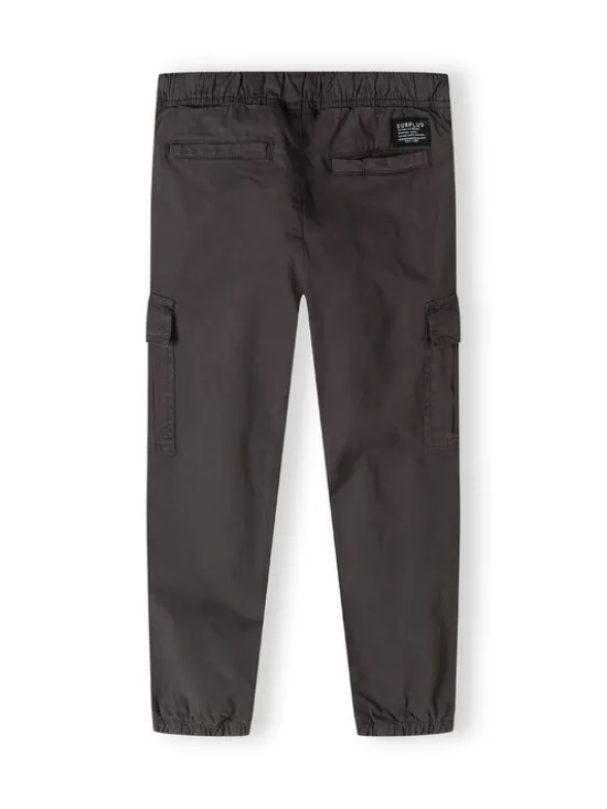 minoti Spodnie cargo 23pant4 Szary Regular Fit