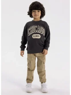 minoti Spodnie cargo 23pant3 Szary Regular Fit