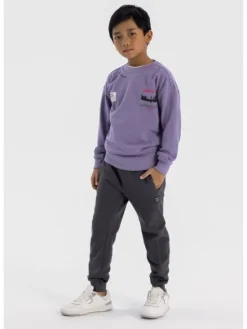 minoti Spodnie dresowe 23fleece44 Szary Regular Fit