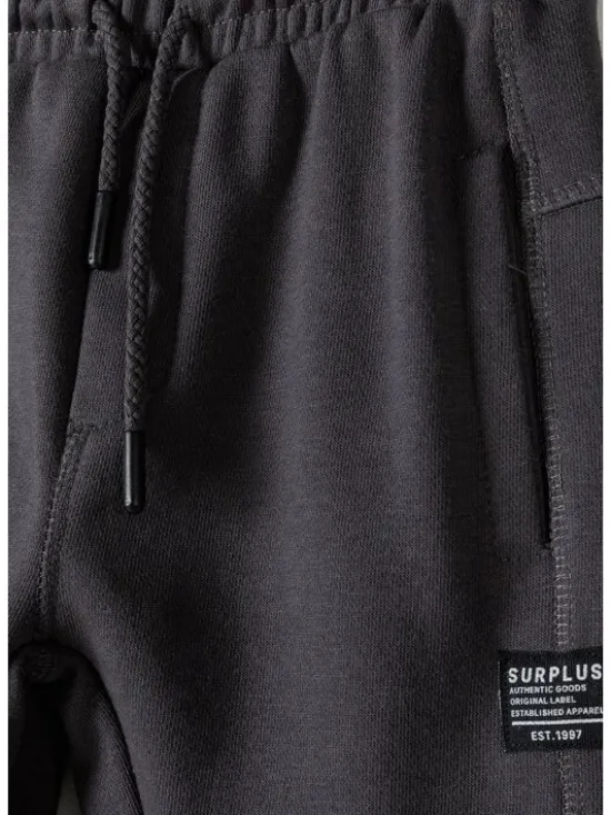 minoti Spodnie dresowe 23fleece44 Szary Regular Fit