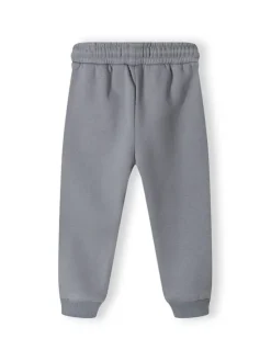 minoti Spodnie dresowe 16fleece 27 Szary Regular Fit