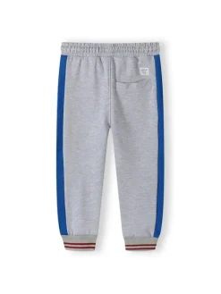 minoti Spodnie dresowe 17FLEECE 10 Szary Regular Fit