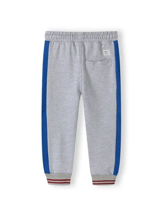 minoti Spodnie dresowe 17FLEECE 10 Szary Regular Fit