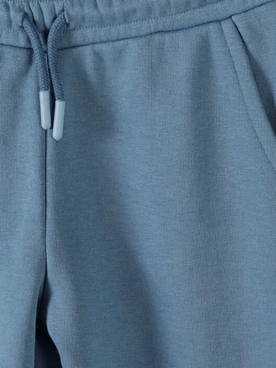 minoti Spodnie dresowe 29FLEECE286 Granatowy Regular Fit