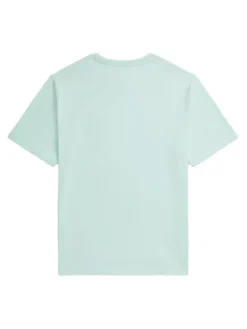 Polo Ralph Lauren T-Shirt 323970333501 Niebieski Regular Fit