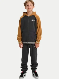 Quiksilver Bluza Knowledge Area EQBFT03949 Kolorowy Regular Fit