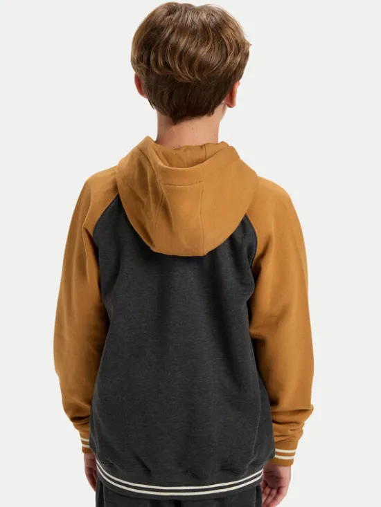 Quiksilver Bluza Knowledge Area EQBFT03949 Kolorowy Regular Fit