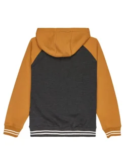 Quiksilver Bluza Knowledge Area EQBFT03949 Kolorowy Regular Fit
