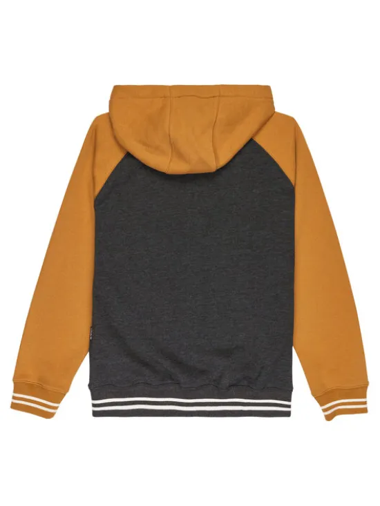 Quiksilver Bluza Knowledge Area EQBFT03949 Kolorowy Regular Fit
