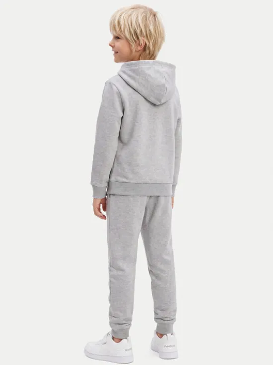 Reebok Komplet dresowy RK95228CCB Szary Regular Fit
