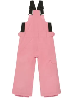 Roxy Spodnie narciarskie Lola ERLTP03012 Różowy Regular Fit