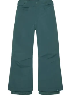 Roxy Spodnie snowboardowe Backyard ERGTP03053 Zielony Regular Fit