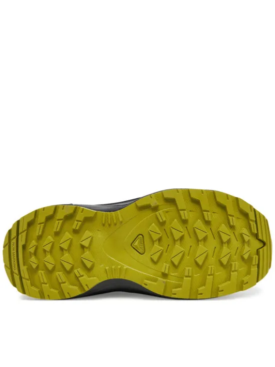 Salomon Trekkingi Xa Pro V8 L47729900 Zielony
