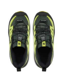 Salomon Trekkingi Xa Pro V8 L47729900 Zielony