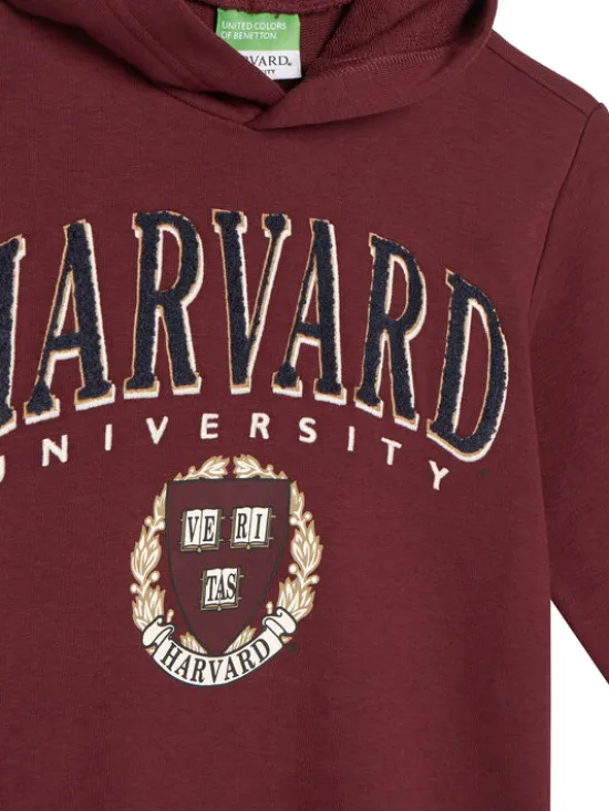 United Colors Of Benetton Bluza 32N4C204U Bordowy Regular Fit