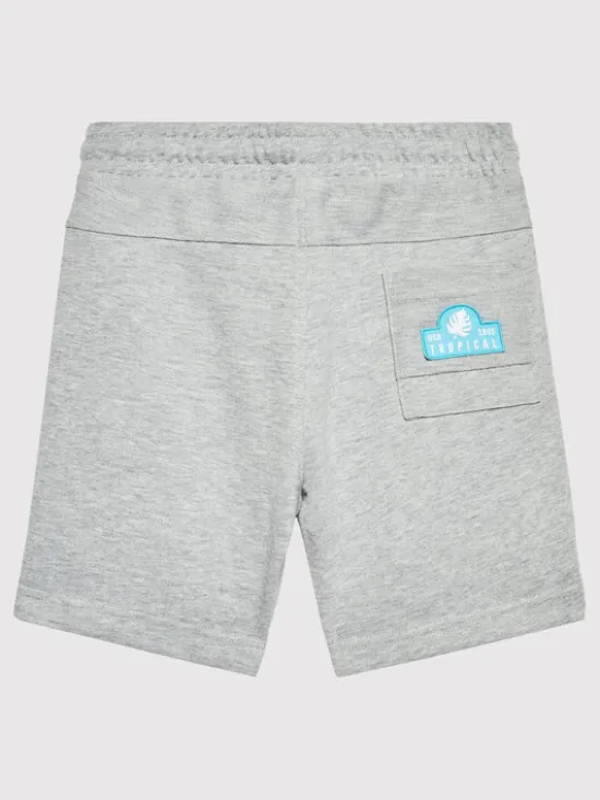 United Colors Of Benetton Szorty sportowe 3BGUC900H Szary Regular Fit